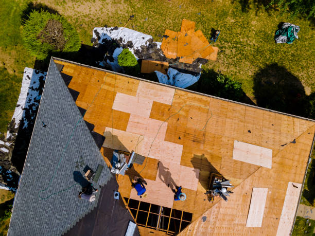 Best Metal Roofing Contractor  in Lexington, NE