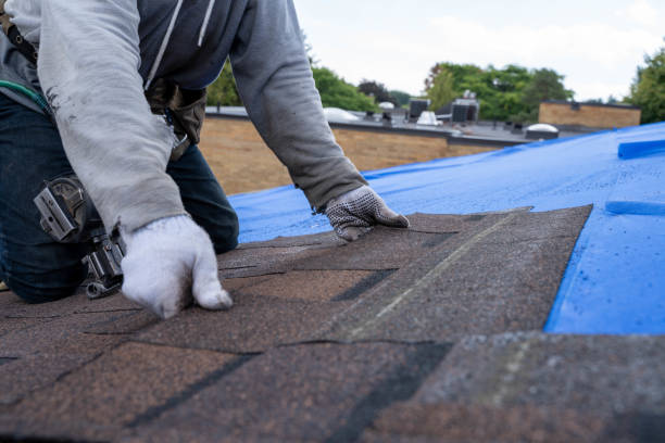Sealant for Roof in Lexington, NE