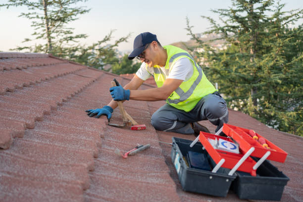 Best Metal Roofing Contractor  in Lexington, NE