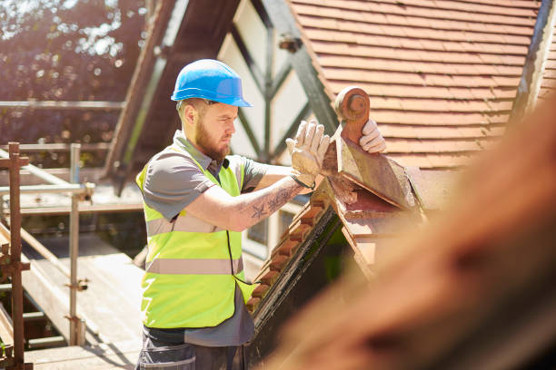 Professional Roofing Contractor in Lexington, NE
